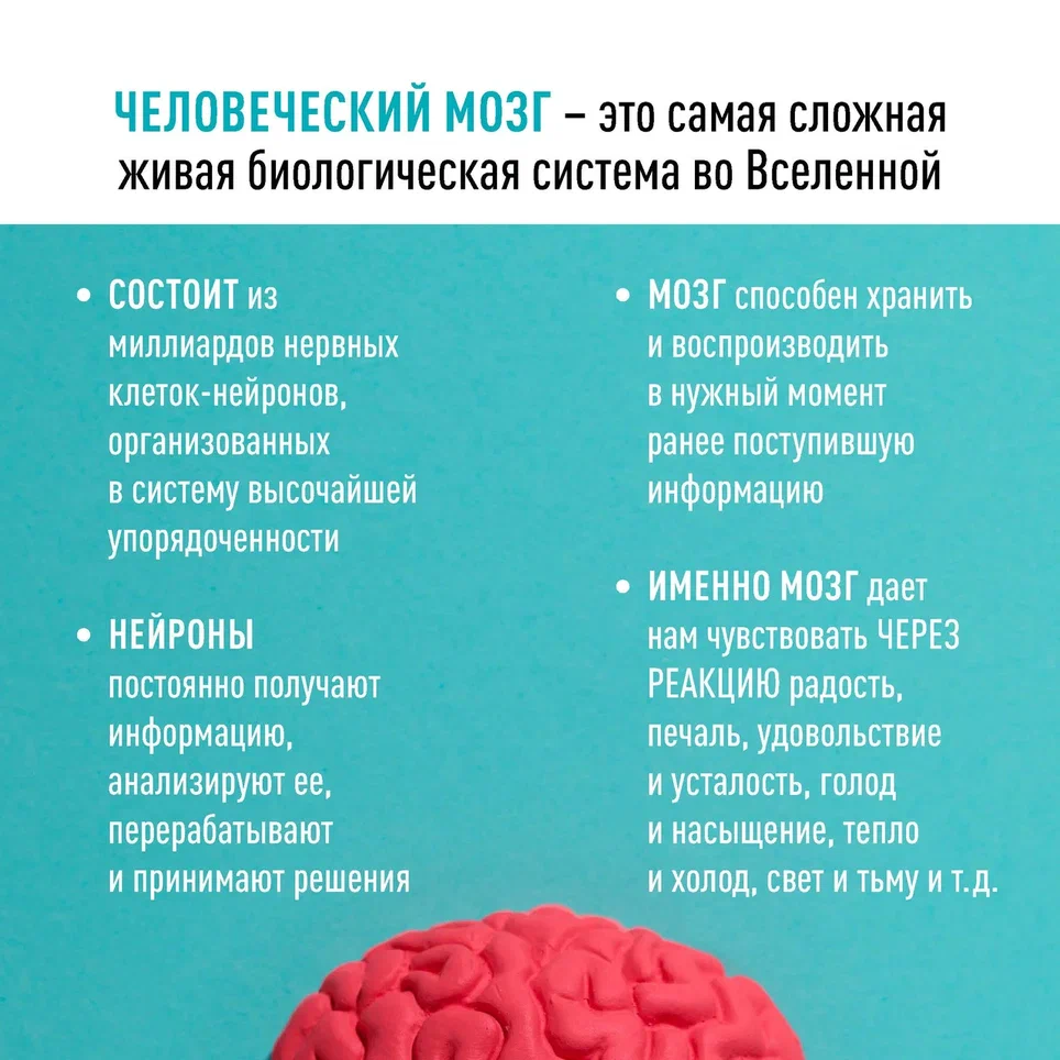 Карточки мозг_Страница_2.jpg