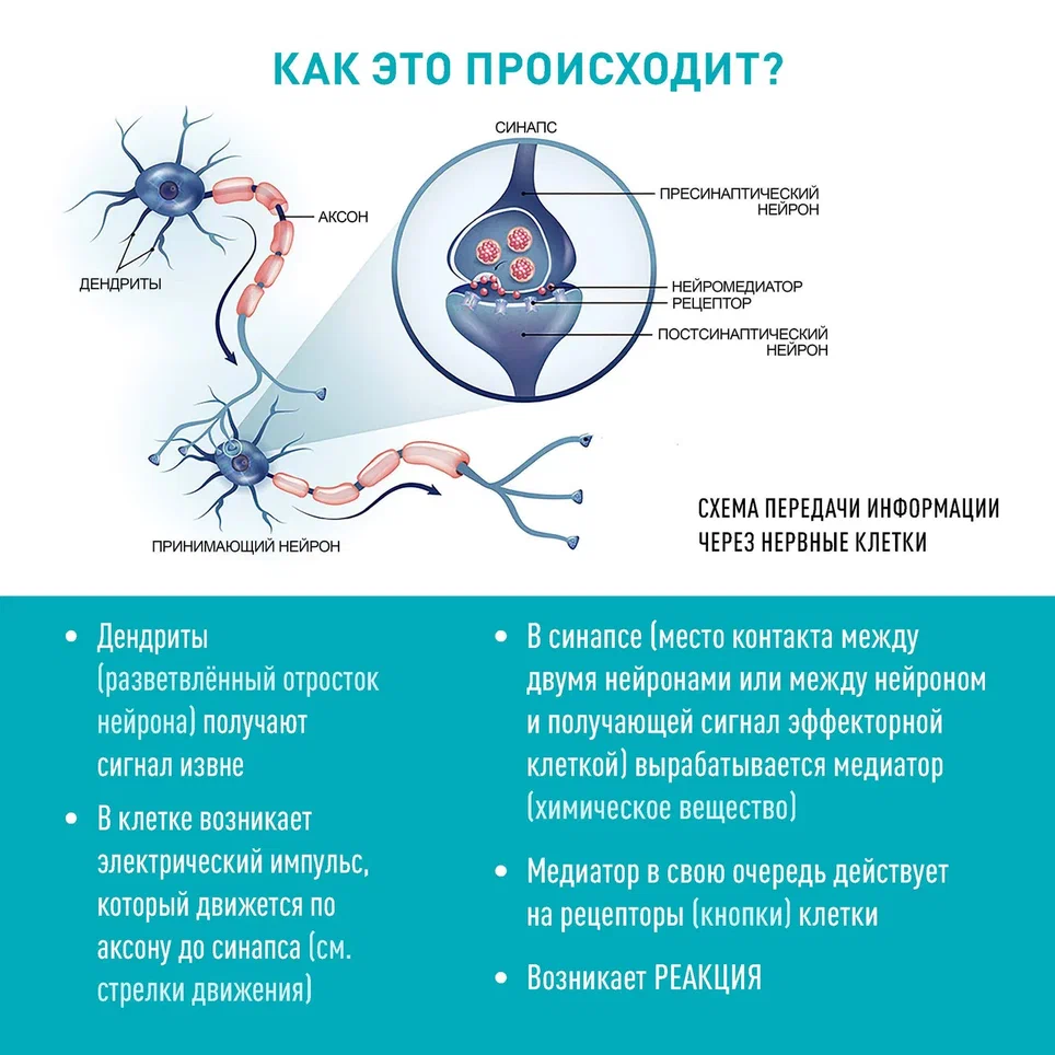 Карточки мозг_Страница_3.jpg