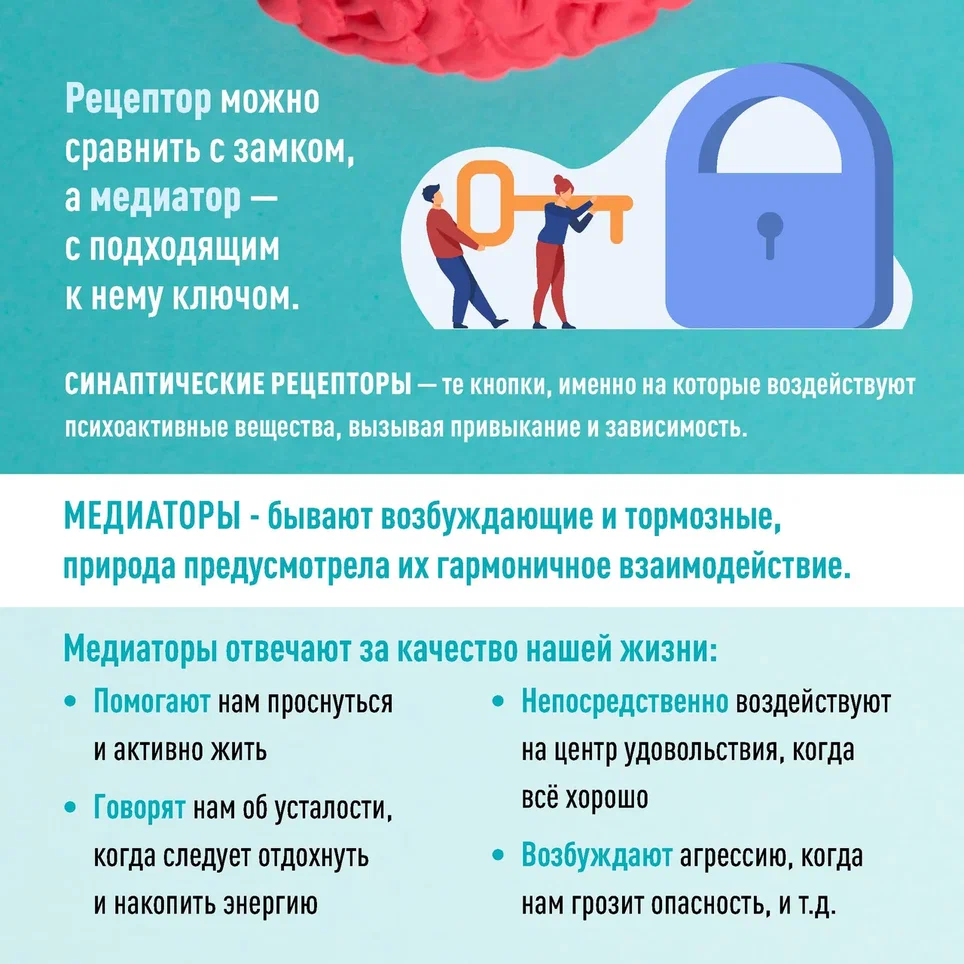 Карточки мозг_Страница_4.jpg